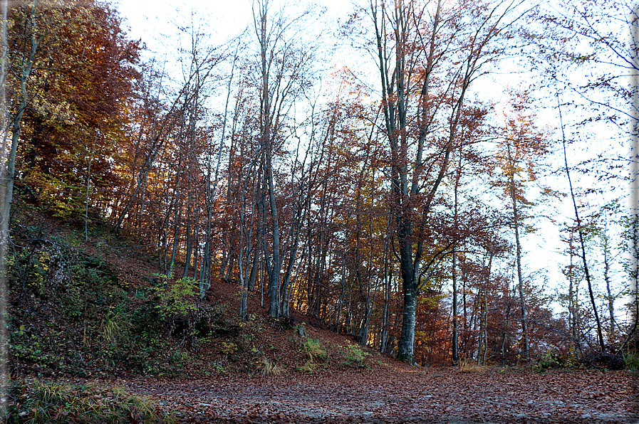 foto Da Rocca di Arsie al Col di Baio